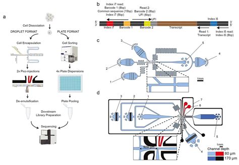 Droplet Microfluidics Enabled Total Rna Sequencing