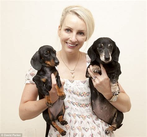 Uks First Cloned Dog Winnie The Dachshund Meets Her Genetic Twin