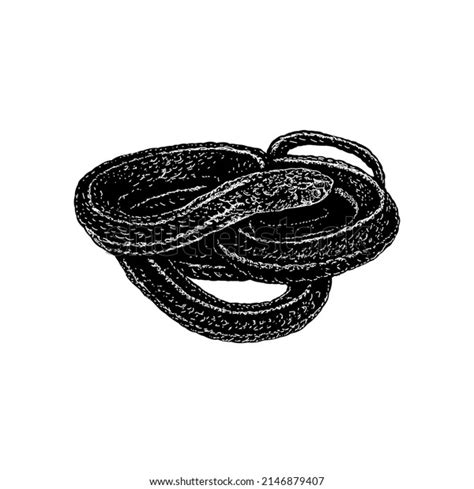 Garter Snake Hand Drawing Vector Illustration Stock Vector Royalty