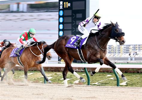 【注目馬動向】フェブラリーs制覇のペプチドナイルはかしわ記念を視野 武英調教師「少しゆっくりして」 Umatoku 馬トク