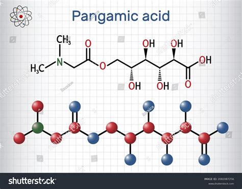 Pangamic Acid Pangamate Molecule Vitamin B15 Stock Vector Royalty Free