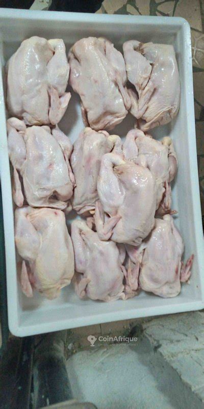 Alimentation Poulets De Chair En C Te D Ivoire Coinafrique C Te D Ivoire