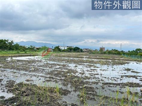 三星大隱足坪農地 宜蘭縣三星鄉大隱三段房屋出售 Ut0126113 有巢氏房屋