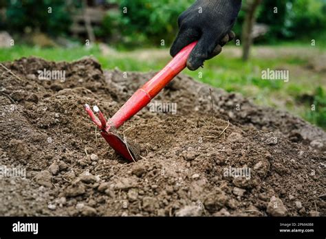 Detail On Hand Wearing Black Working Glove Digging Hole With Small Red