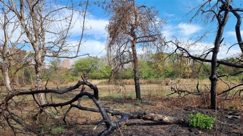 Epopeea Parcului IOR O Afacere De 60 Milioane De Euro Care A