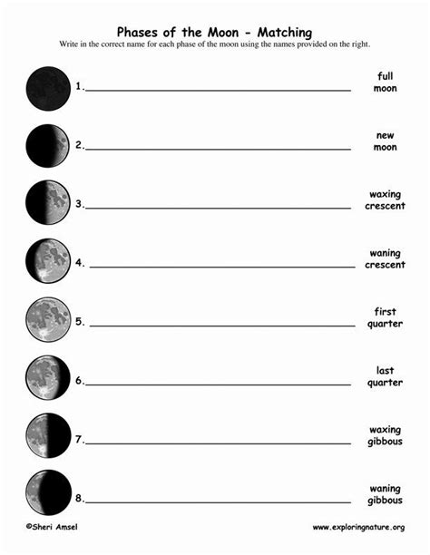 Moon Phases Worksheet Pdf Lovely Phases Of The Moon Worksheet By