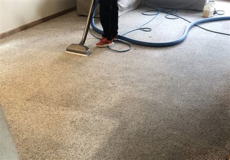 Carpet and Upholstery Cleaning Colorado Springs | Fiber Bright Total