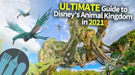 Top 124 + Disney animal kingdom - Inoticia.net