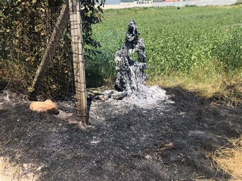 Teverola Incendio Di Sterpaglie Nell Area Industriale E A Carditello