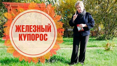 Железный купорос | сульфат железа | обработка сада железным купоросом ...