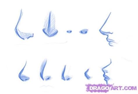 How To Draw Anime Nose Female Front View Draw Anime Character Tutorial