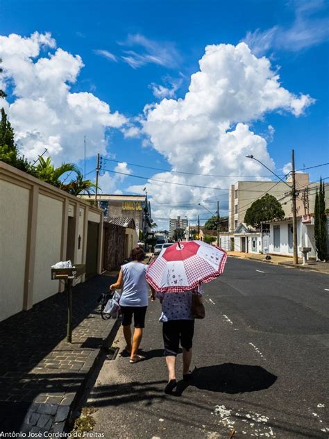 Pin De Cordeiro De Freitas Em Minhas Fotos Fotos