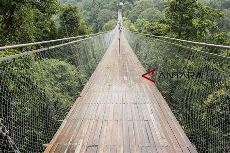 Jembatan Gantung Situ Gunung Antara News Jawa Barat