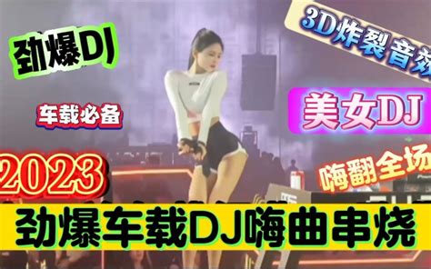 酒吧夜店中文dj舞曲串烧《车载dj低音炮》劲爆dj嗨不停，节奏超燃 Bilibili B站 无水印视频解析——6li6在线工具箱