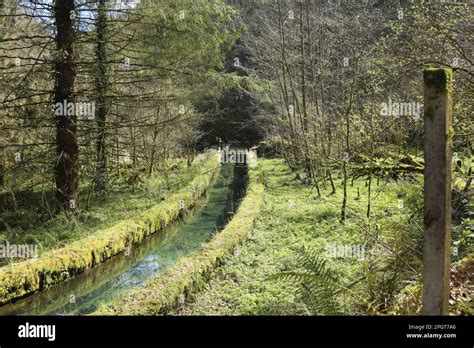 Naturaleza Agua Canal De Agua Hi Res Stock Photography And Images Alamy