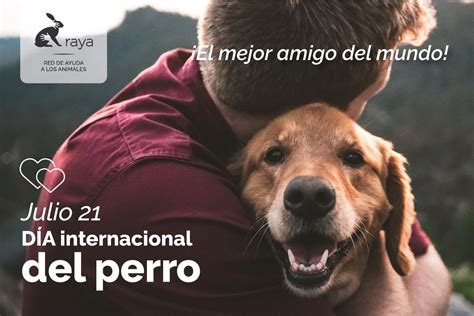 Dia Mundial Del Perro Argentina Imagesee