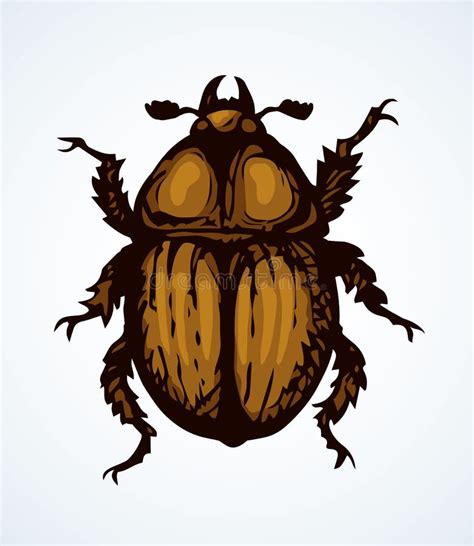 Chafer Vector Drawing Of A Big Beetle Stock Vector Illustration Of