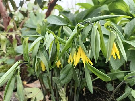 Strict wildlife protections will soon govern the island of the stream 21