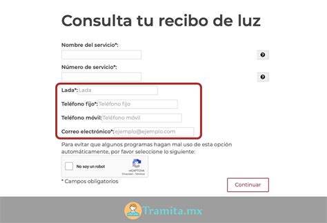 Consulta O Imprime Tu Recibo De Luz En Línea Cfe