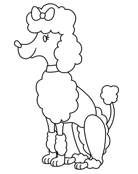 Desenho De Cachorro Poodle Para Colorir Tudodesenhos Images And Porn