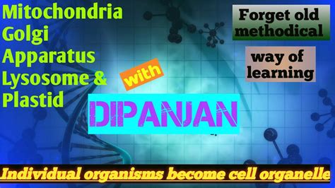 Fundamental Unit Of Lifemitochondriagolgi Apparatuslysosomes