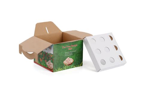 Egg Packaging Box Manufacturer in China - XIECHEN