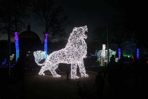 Detroit Zoo Lights | MonsterFishKeepers.com