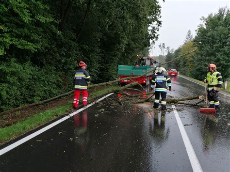 Feuerwehr Nitscha Baumbergung Am Auf B