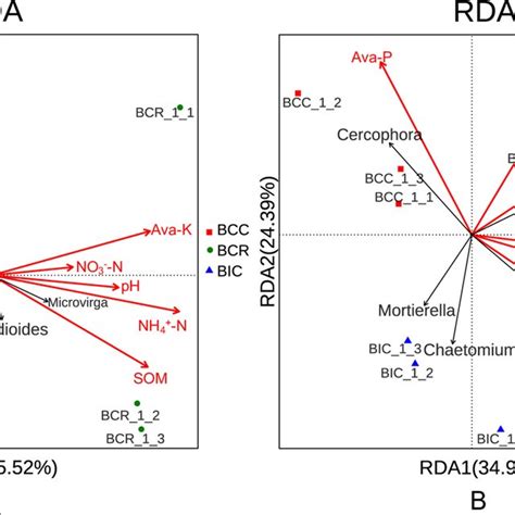 Redundancy Analysis Rda On Dominant Fungal Genera A And Dominant