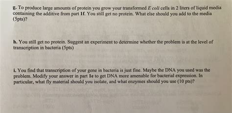 Solved 1. This diagram represents the structure of a gene in | Chegg.com 