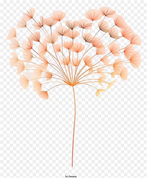 Plancherie Du C Ur Fleur Fleurs Roses Png Plancherie Du C Ur Fleur