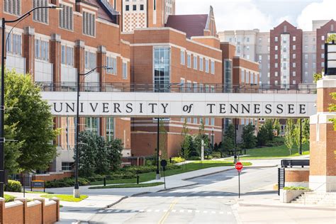 Hey, Best and Brightest Tennessee Students, the UT System Wants YOU