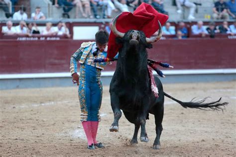 Del Toro Al Infinito Colombo El Torero De Venezuela Que Pisa Fuerte