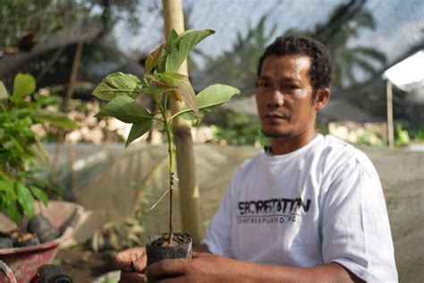 Agroforestry - Yayasan Konservasi Pesisir Indonesia