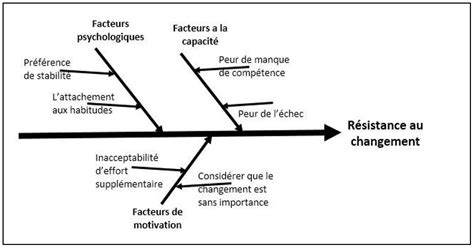 Facteurs De R Sistance Au Changement