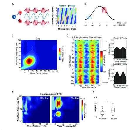 Theta Gamma Cross Frequency Coupling Cfc And Its Alteration In A