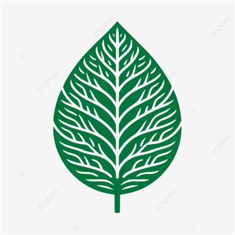 green leaf icon vector design green leaf transparent leaf icon green