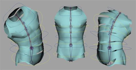 Maya Rigging Introduction To Rigging A Human Torso By Jahirul Amin