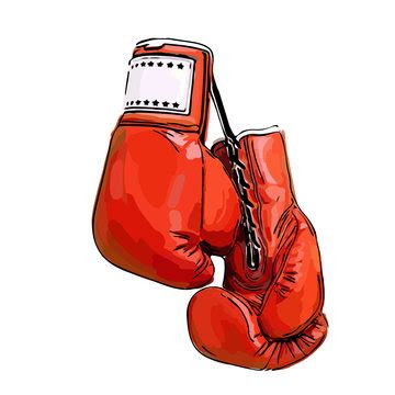 Hanging Boxing Gloves Vector