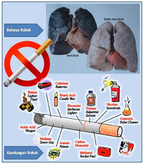 Kandungan Dan Bahaya Asap Rokok Prinzessinbouvet