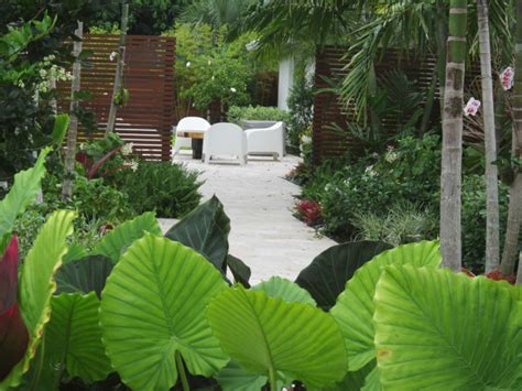 Caribbean Landscaping Ideas Exotique Miami Par Matthew Giampietro