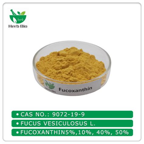 Fucoxanthin - Herb bio (Herbal Extract Supplier )