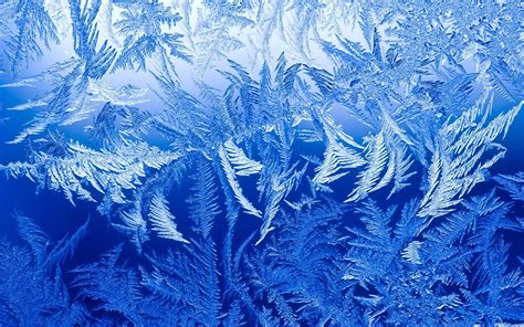 Frozen Glass Wallpaper