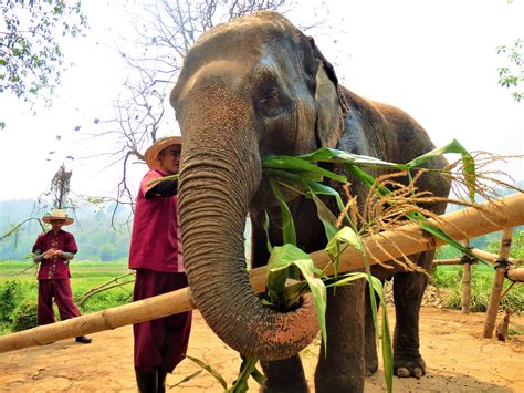 Chiang Mai Thailand