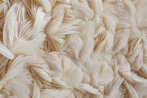 Удивительные панно из морских ракушек от британского художника Роуэна ...