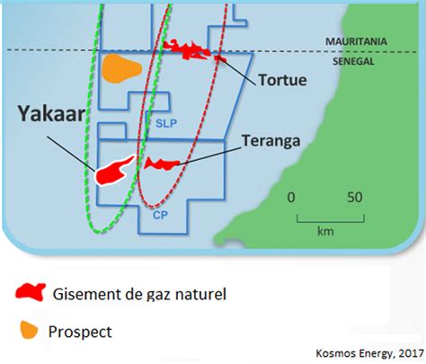 Projet Grand Tortue Ahmeyin Gta Groupe Petrosen