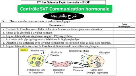 Exercice Communication Hormonale Svt 1bac Sc Ex شرح بالداريجة Youtube