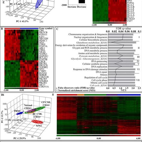 Functional Gene Expression Profile Of K562 Cells A Differential Gene Download Scientific