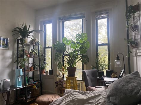 My tiny dc room :) : r/AmateurRoomPorn