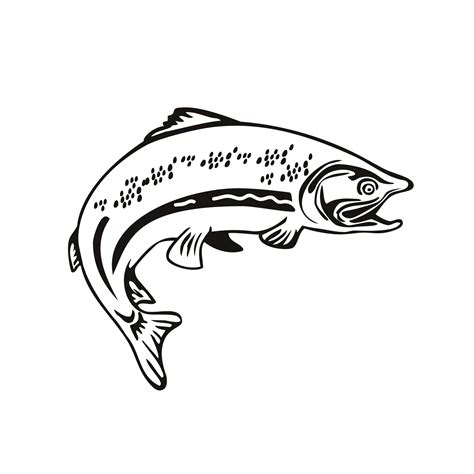 Spotted Trout Fish Jumping Retro Black And White 1918094 Vector Art At